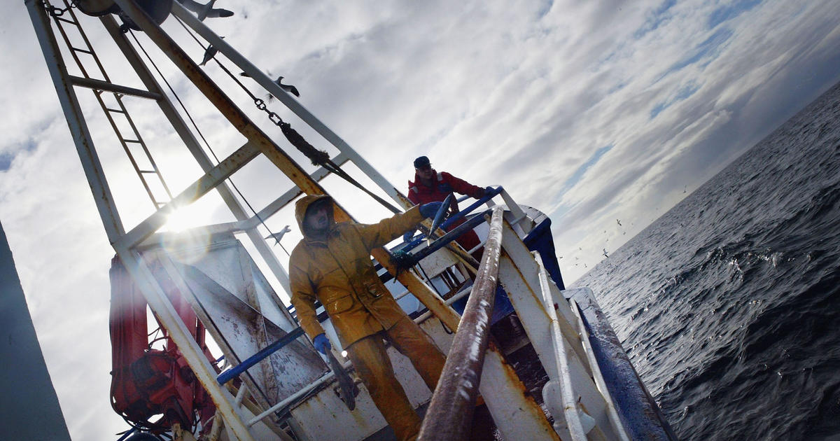 Large-scale commercial fishing covers more than half of the oceans, study  finds - CBS News