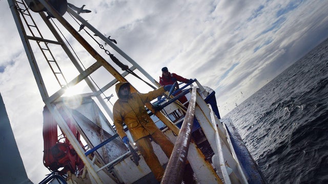 Scottish Trawlermen Work The Waters Of The North Atlantic 
