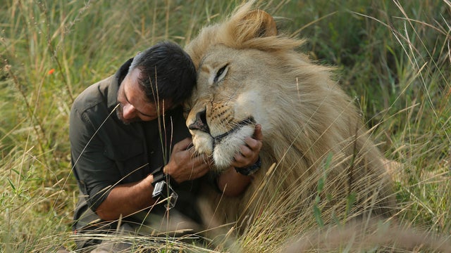 APTOPIX South Africa Lion Whisperer 