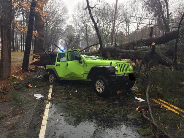tekwsbury-pd-jeep-crushed-by-tree.jpg 