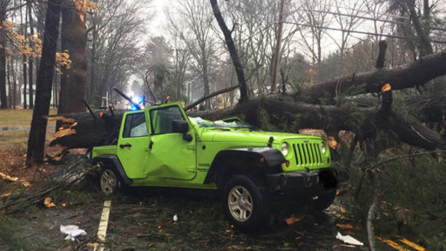 tekwsbury-pd-jeep-crushed-by-tree1.jpg 