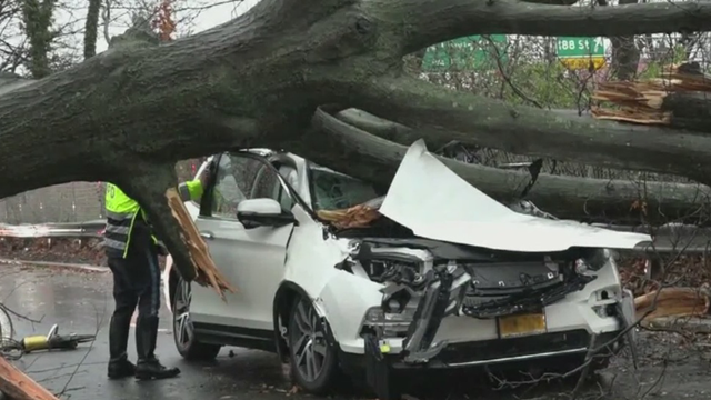 noreaster-takes-down-tree-in-st.png 