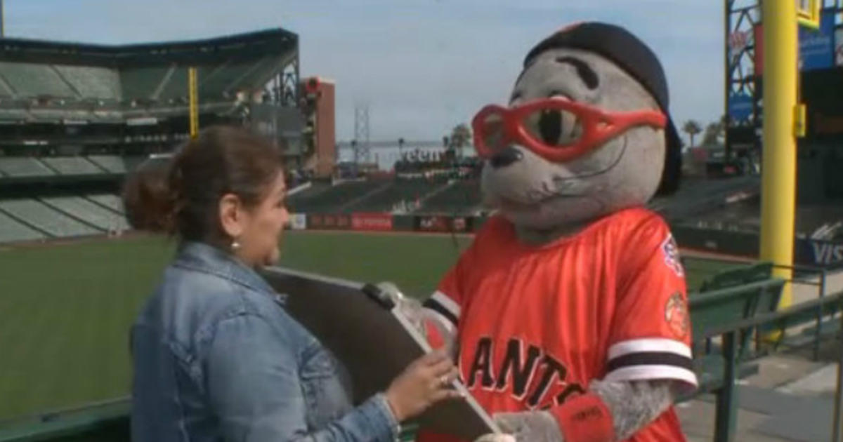 Giants Mascot Lou Seal Takes On Spelling Bee Challenge - CBS San