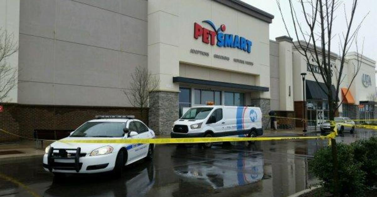 PetSmart faces another dog death CBS News