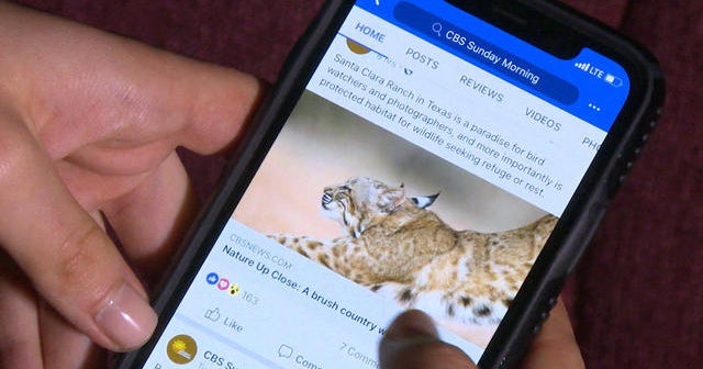 Smartphones and our information overload