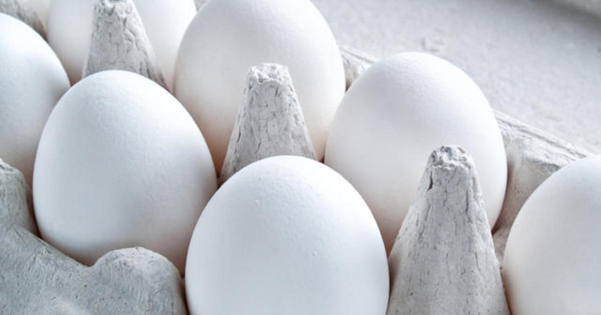 206 million eggs recalled What you need to know about salmonella CBS