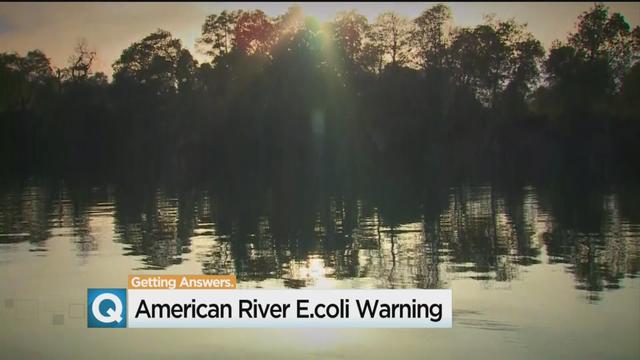 ecoli-american-river.jpg 