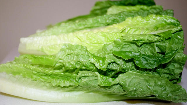 Romaine Lettuce Leaves 