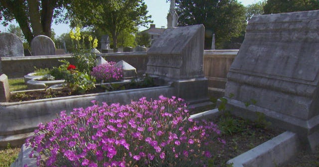 Grave gardening