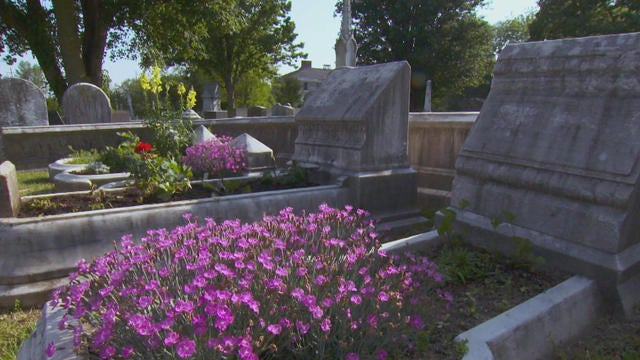 0422-sunmo-gravegardening-1551812-640x360.jpg 