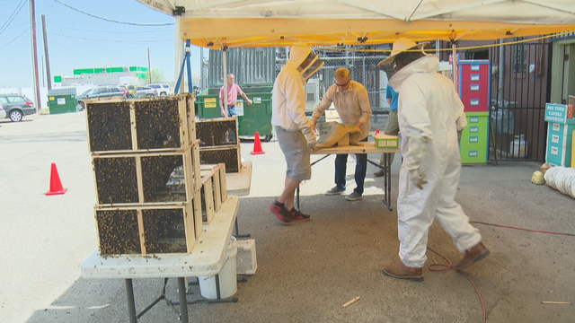 bee-event-rs-raw-01-concatenated-135724_frame_9340.png 