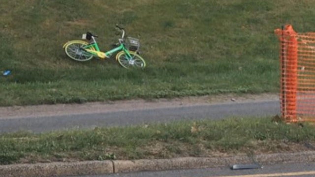 bike-litter.jpg 