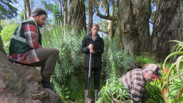 Sequoia Cross, center, watches husband Jeff Cross, right, dig in San Francisco's Golden Gate Park for buried treasure. 
