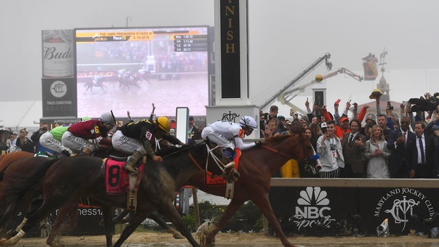Preakness Stakes Horse Race 