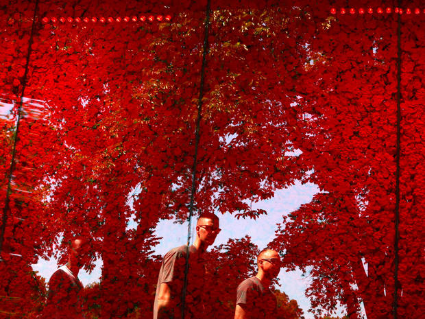 People are seen reflected on a temporary memorial made of over 600,000 poppies ahead of Memorial Day at the National Mall in Washington, U.S. 
