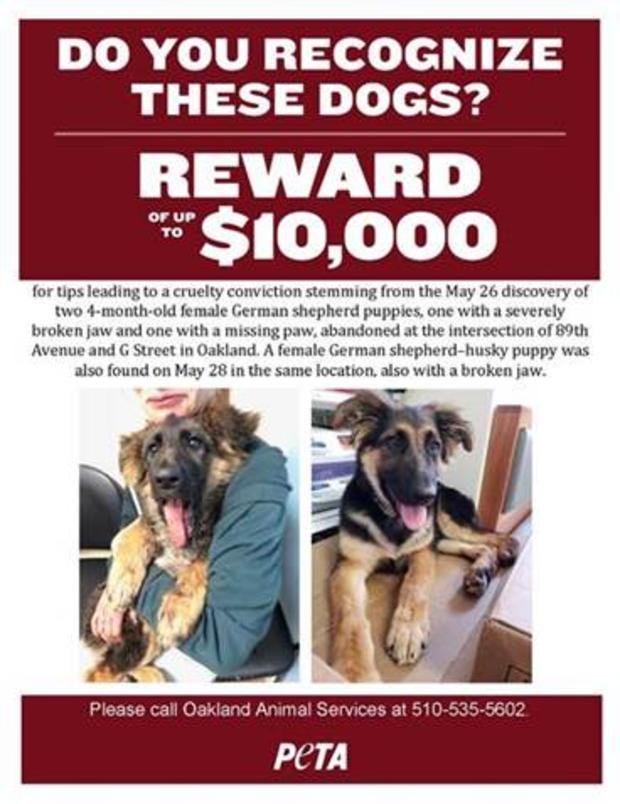 PETA dog mutilation reward 