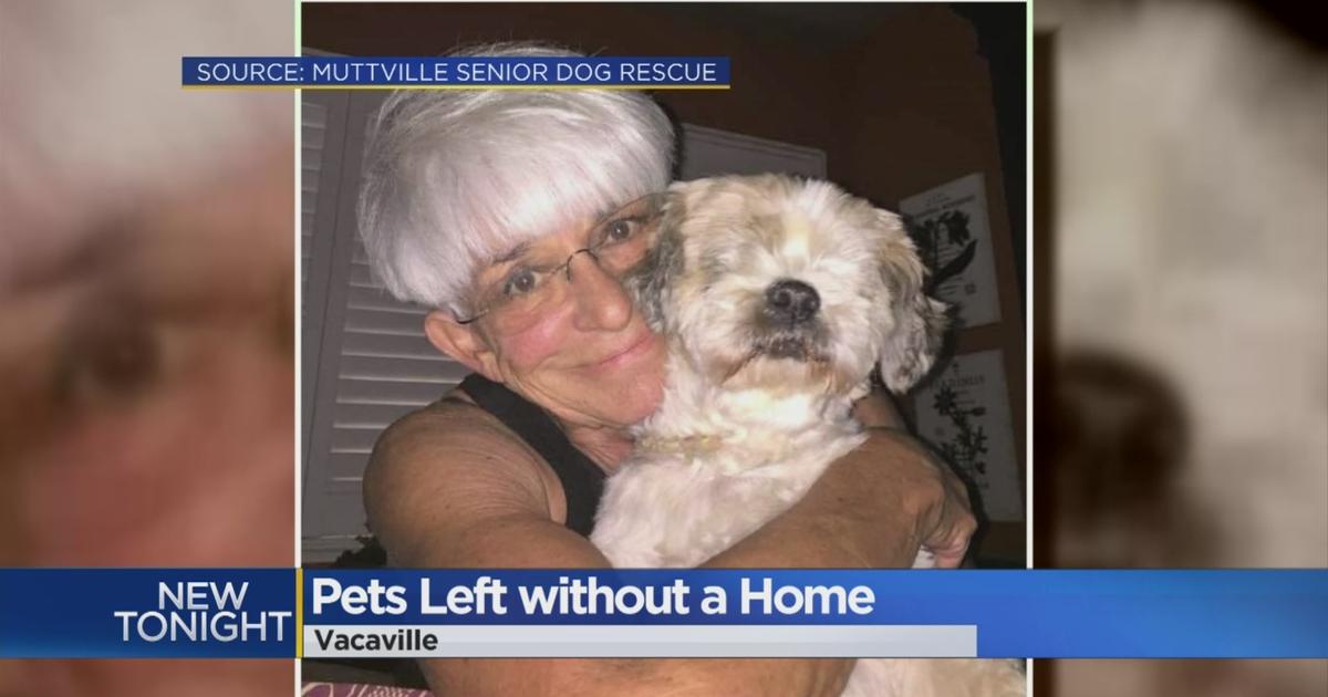 Animal Advocate's Death Leaves Dozens Of Pets Without Home - CBS Sacramento