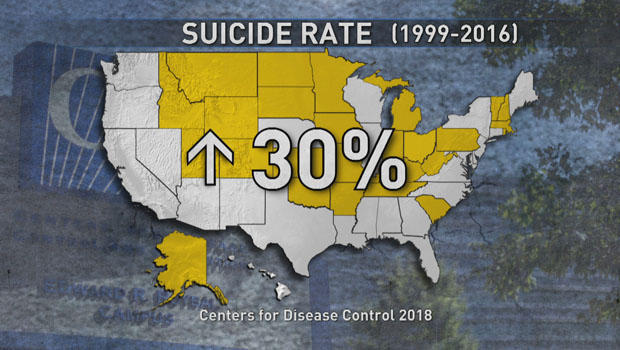suicide-rate-graphic-cdc-620.jpg 
