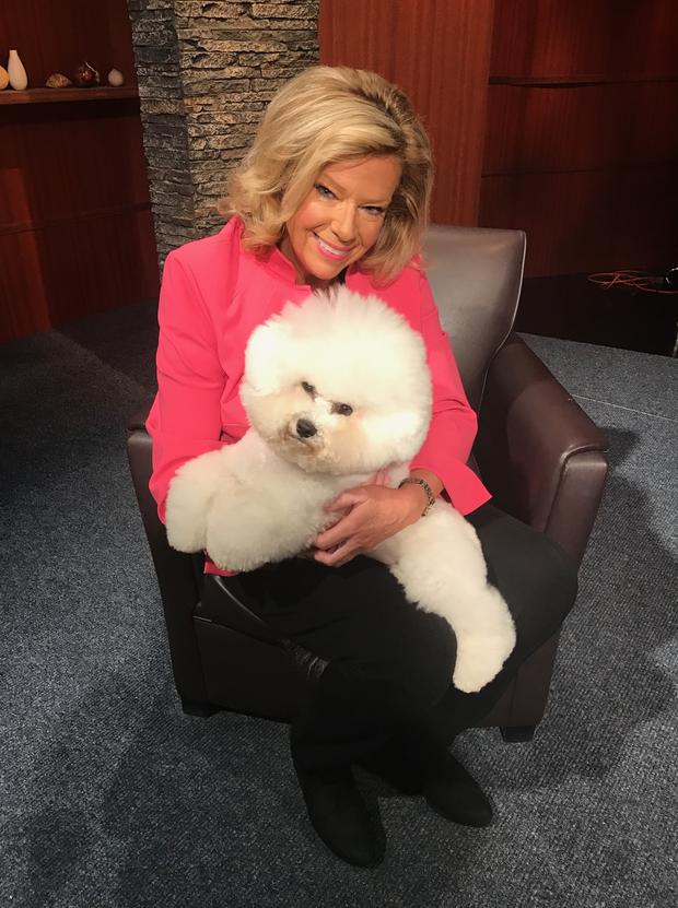 Flynn The Bichon Frise, 2018 Westminster Kennel Club Best-in-Show Winner, with Michigan Matters Host Carol Cain 