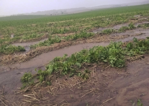 Wold Strawberry Farm Wiped Out By Water 