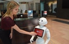 pepper-2.jpg 
