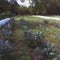 Farming the land, in a national park
