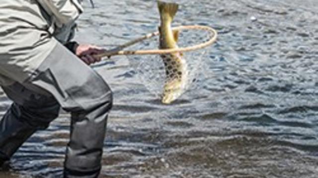 river-fishing-bans-1-cpw.jpg 