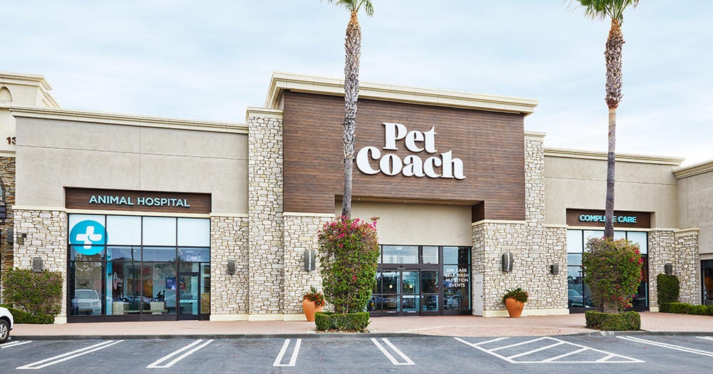 PetCoach San Marcos store showcases Petco's posh new approach CBS News