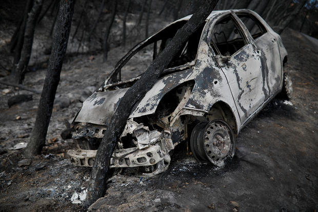 A burned car is stuck under a burned tree following a wildfire in Neos Voutzas, near Athens 