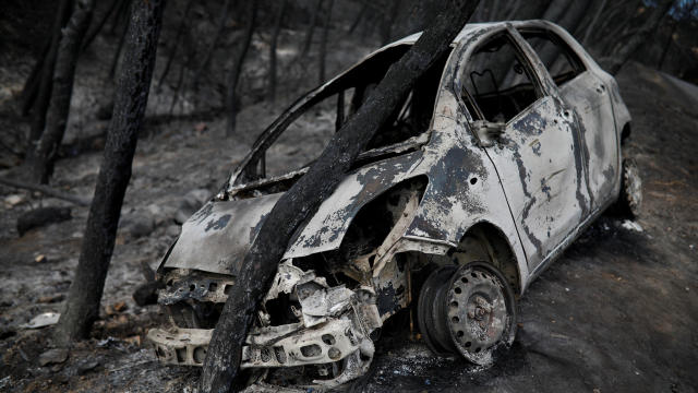 A burned car is stuck under a burned tree following a wildfire in Neos Voutzas, near Athens 