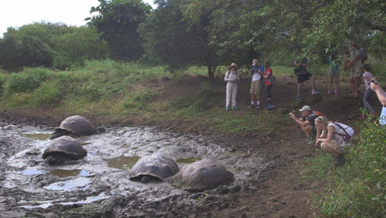 Island-Hopping: Tourism in the Galápagos - CBS News