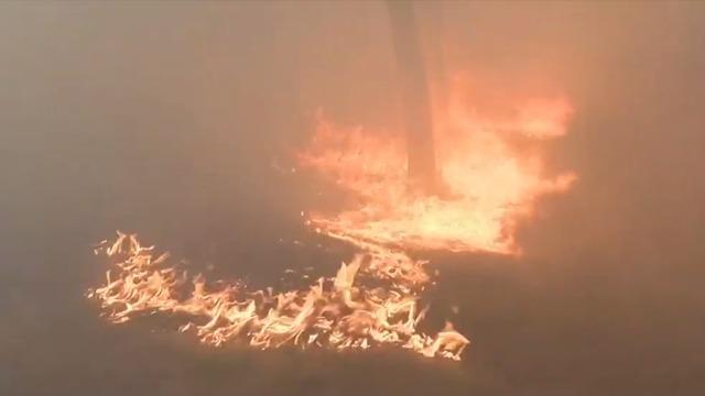 cbsn-fusion-thousands-faced-harrowing-scenes-as-they-fled-california-wildfire-thumbnail-1621861-640x360.jpg 