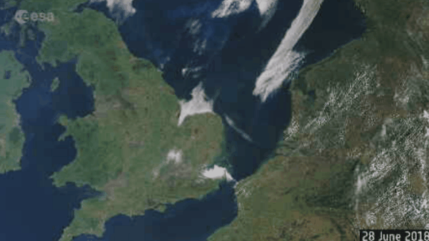 People cool off in the sea as the temperature soars throughout the country, in Ostia, west of Rome 