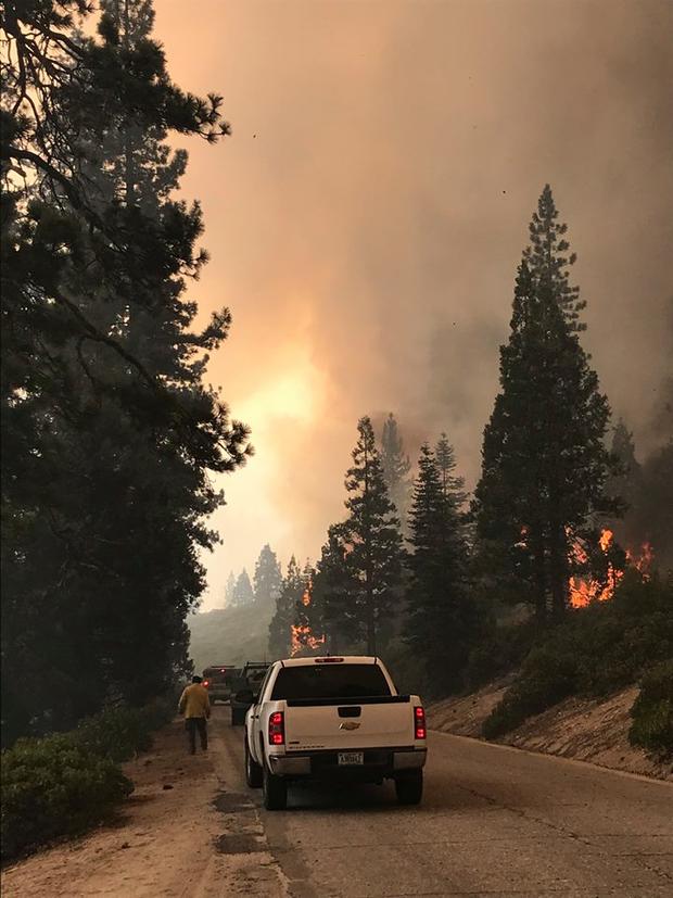 Donnell Fire 2 - US Forest Service 