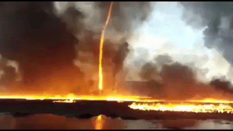 firenado-gif-downsized-large.gif 