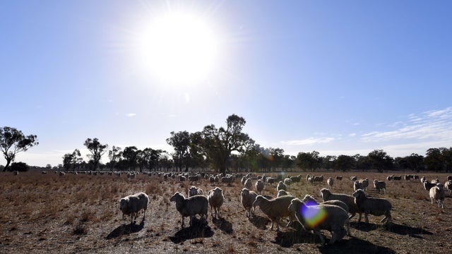 AUSTRALIA-WEATHER-DROUGHT-ENVIRONMENT-CLIMATE 