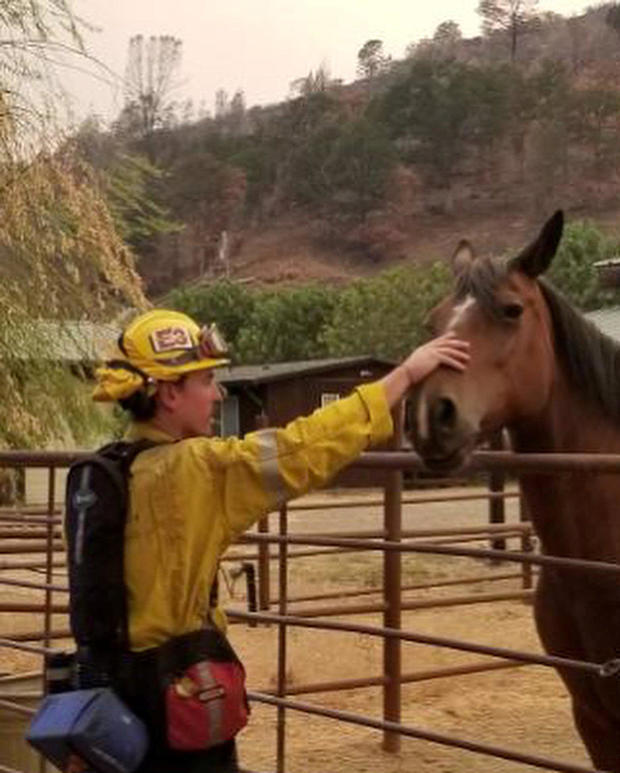 A firefighter pats a horse during an operation to battle a wildfire in an area near Mendocino National Forest, California 