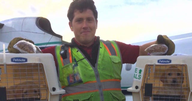 Documentarian Collaborates with Richard 'Beebo' Russell's Mother for Five Years Post-2018 Plane Theft