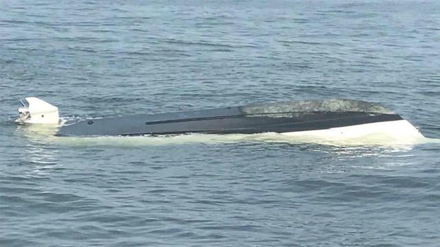 whale-boat-encounter.jpg 