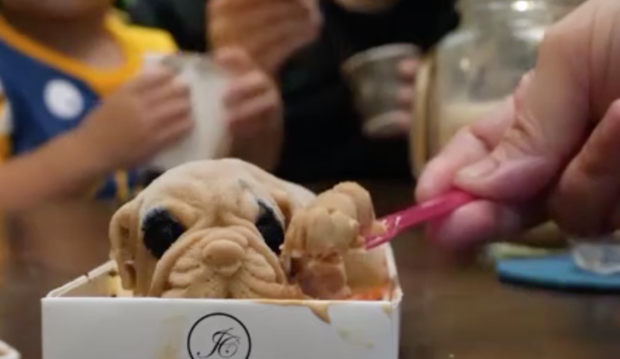 ice cream pup 