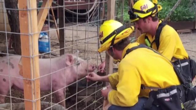 cbsn-fusion-california-firefighters-battling-wildfires-perform-random-acts-of-kindness-thumbnail-1639757-640x360.jpg 