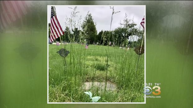 Folsom Family Fed Up With Rampant Weeds Covering Headstones In Springfield 