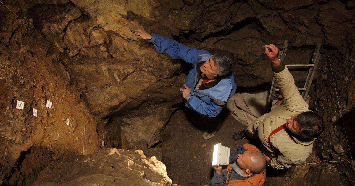 DNA Reveals First-Known Child Of Neanderthal And Denisovan, Study Says