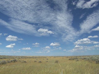 prairie-view-620.jpg