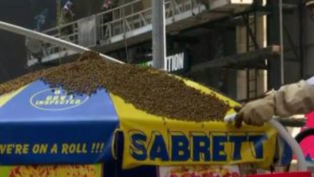 times-square-bees.jpg 