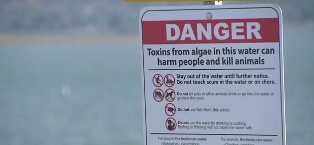 Visitors Hit Lake Elsinore Over Labor Day Weekend Despite Algae Bloom Warnings 