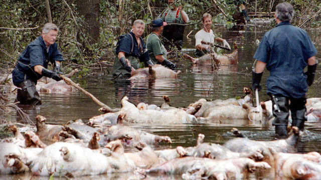 Tropical Weather Toxic Waters 