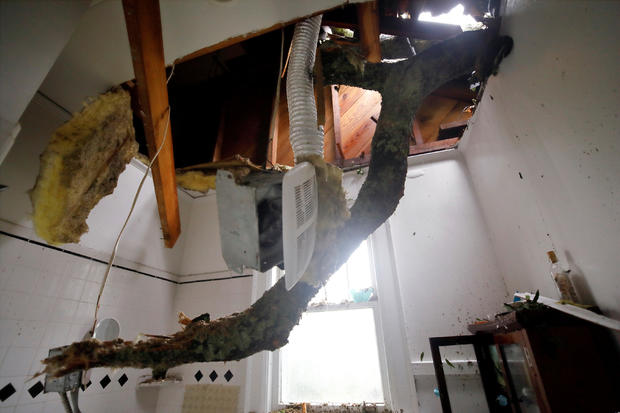 The limb of a large oak tree toppled by Hurricane Florence pokes through the ceiling of a destroyed bathroom in a home in Wilmington 