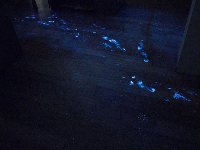 allwine-luminol-footsteps.jpg 