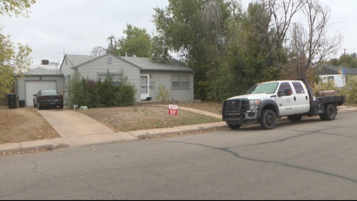 Newborn Baby Airlifted To Hospital After Being Attacked By Dog - CBS ...